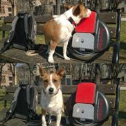 Airwheel, l'équilibre de l'auto mono roue électrique, auto-équilibre mono roue