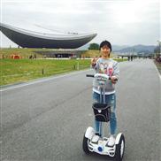 auto-bilanciamento scooter, Elettrico Auto-bilanciamento Monociclo