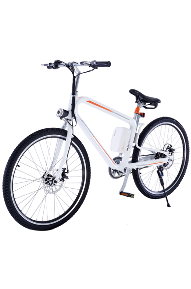 Elektrisches Mountainbike